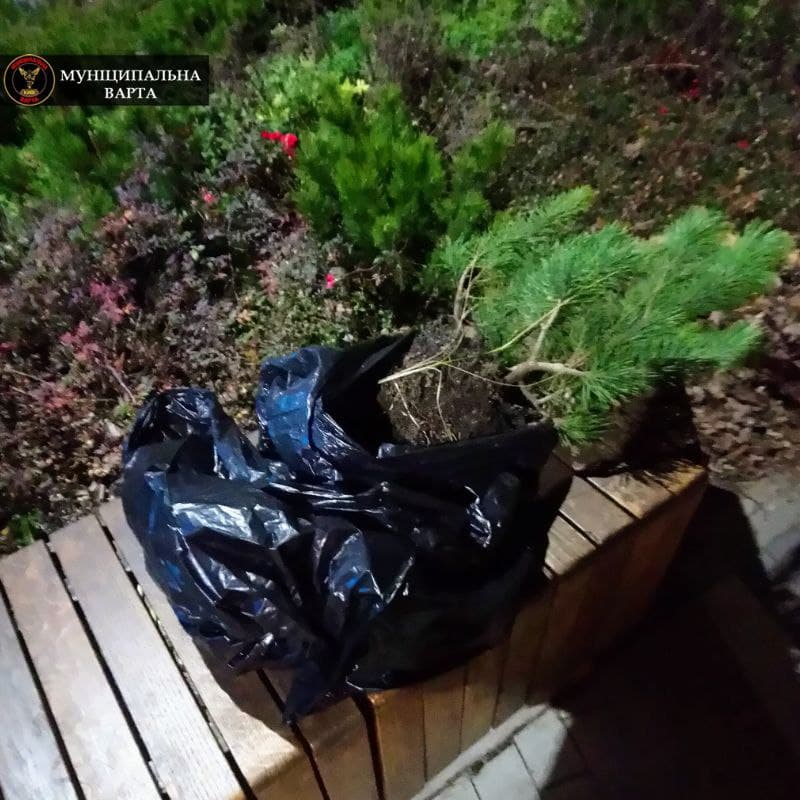 У Києві затримали злодійок із незвичайним &quot;уловом&quot;: фото крадіжки